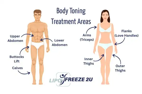 Graphic showing where you can have Body toning Treatment Lymington on your body